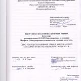 Образ реальных и мнимых угроз в американской массовой культуре в первой четверти XXI в.