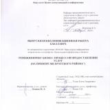 Реинжиниринг бизнес-процессов предоставления услуг (на примере МБ Братского района")