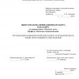 Организация коммерческой деятельности предприятия на рынке программного обеспечения