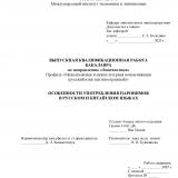 Особенности употребления паронимов в русском и китайском языках