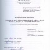 Развитие продуктивного взаимодействия в триаде "Учитель, родитель, младший школьник"