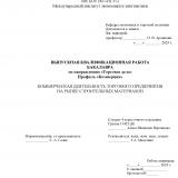 Коммерческая деятельность торгового предприятия на рынке строительных материалов