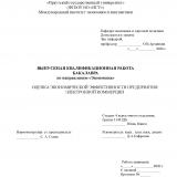 Оценка экономической эффективности предприятия электронной коммерции