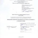 Внедрение информационной системы как процесс со-изобретения