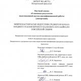 Микропластинчатые индустрии среднего и начала позднего этапов верхнего палеолита юга Байкало-Енисейской Сибири