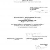 Организация функционирования коммерческой деятельности на рынке лицензионного программного обеспечения