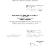 Организация функционирования коммерческого предприятия на рынке грузовых перевозок