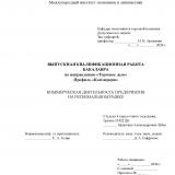 Коммерческая деятельность предприятия на региональном рынке